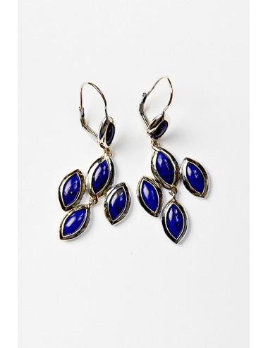 Silver and lapis Earrings